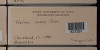 Image Associated With the Occurence